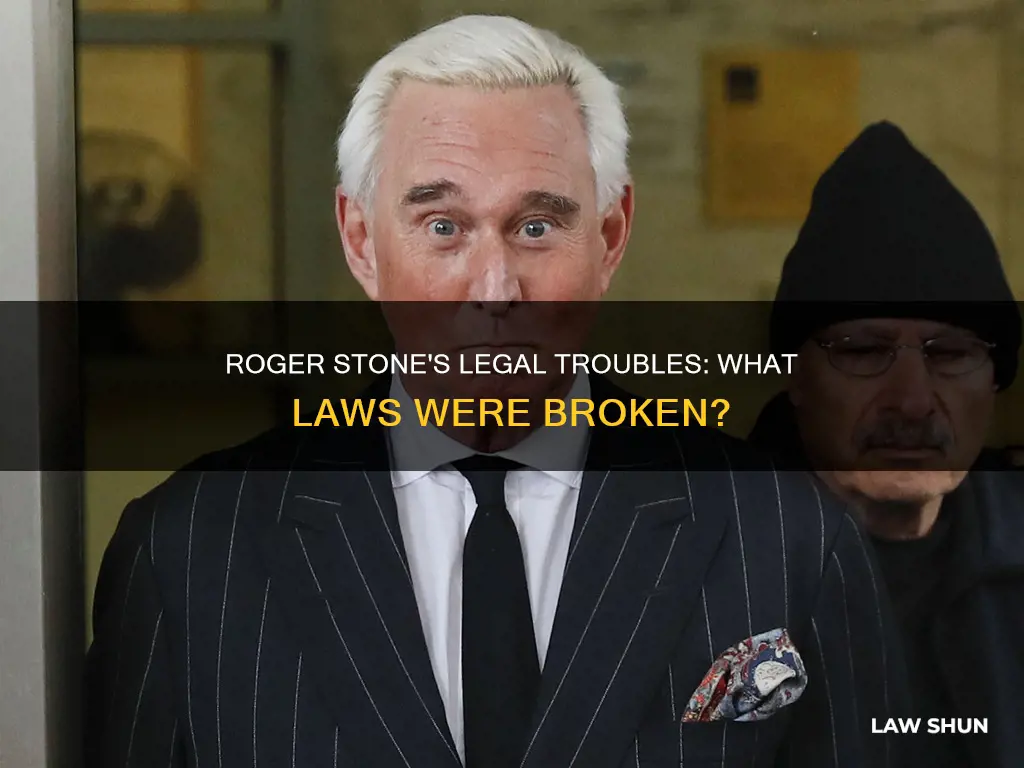 what law did roger stone break