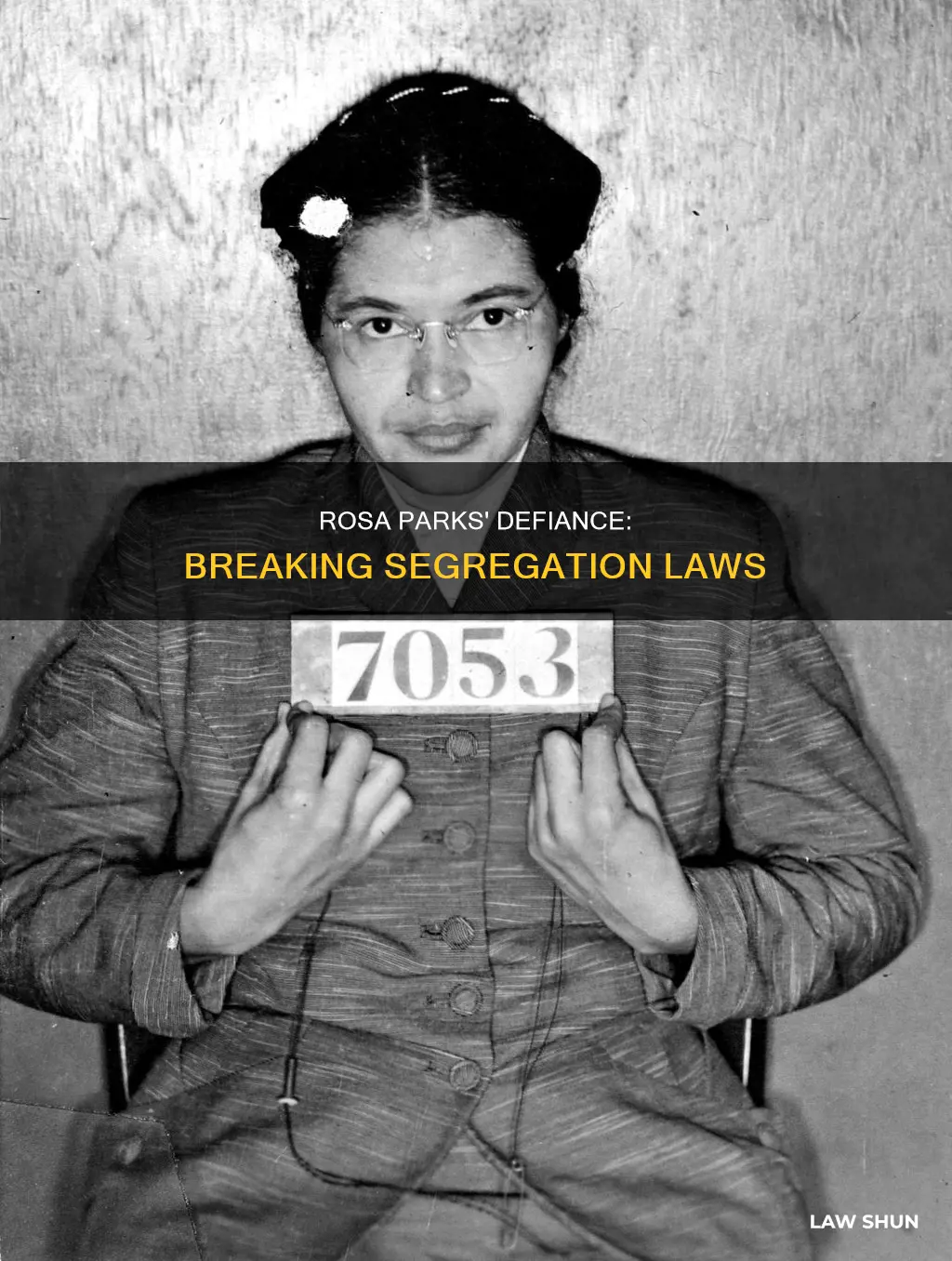 what law did rosa park break