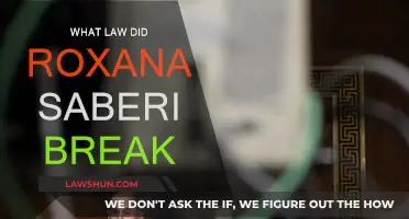 Roxana Saberi: The Law She Broke and the Fallout