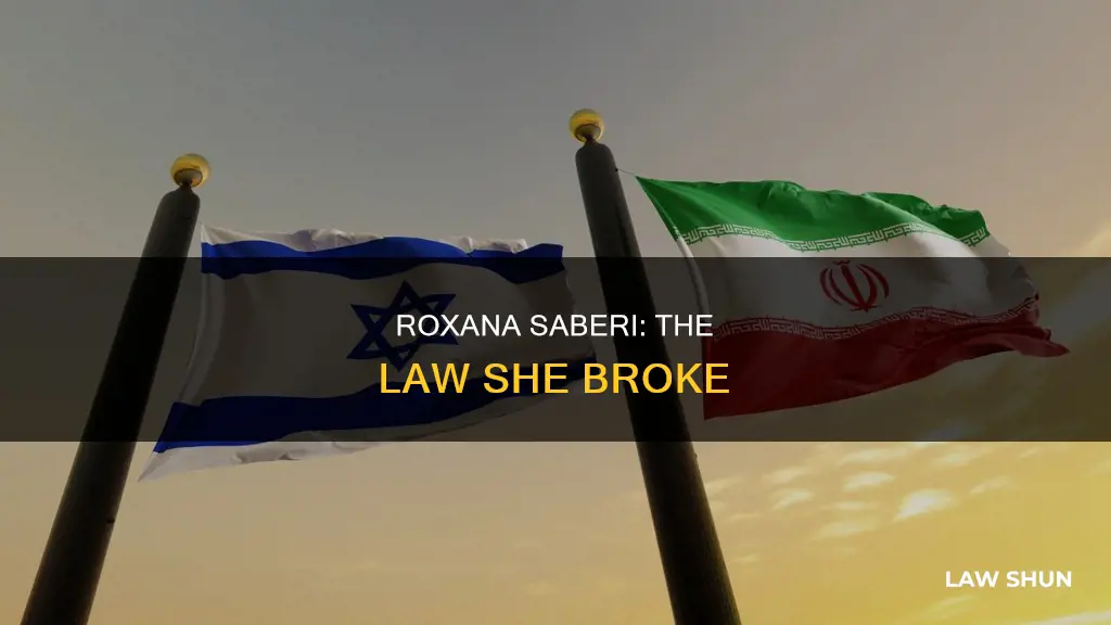 what law did roxana saberi break
