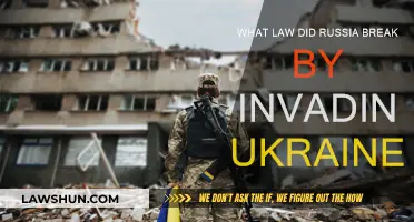 Russia's Ukraine Invasion: Violating International Law and Sovereignty