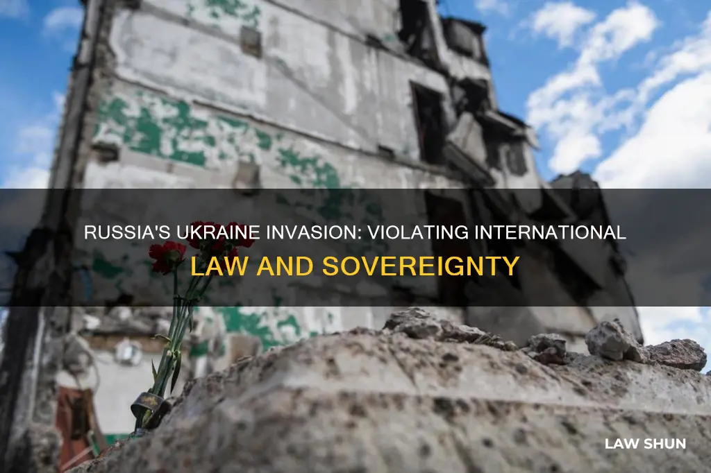 what law did russia break by invading ukraine