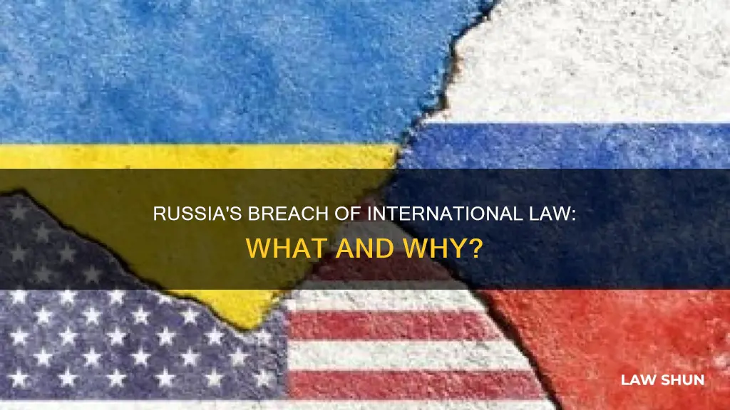 what law did russia break