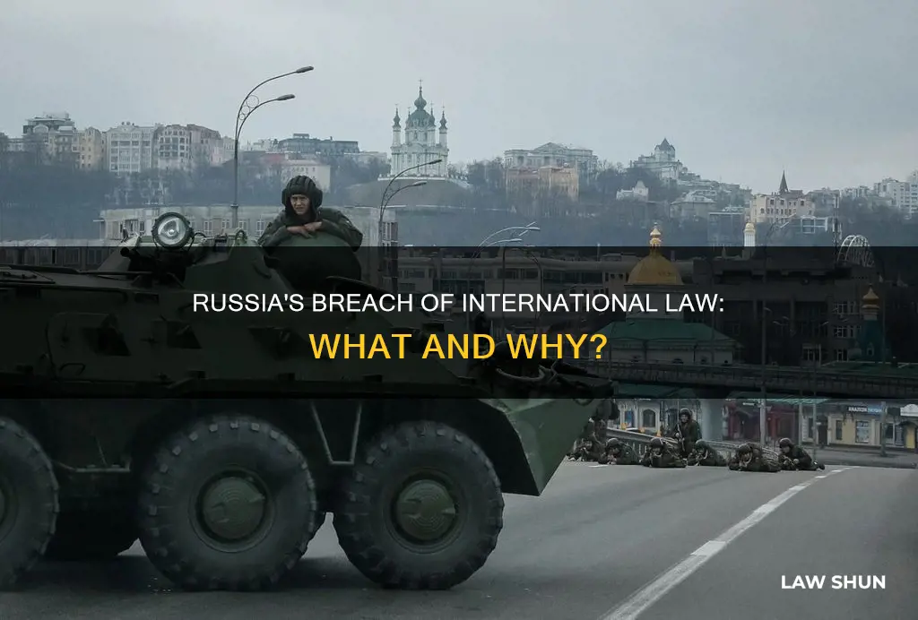 what law did russia break