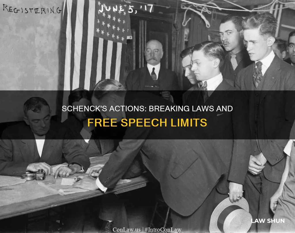 what law did schenck break