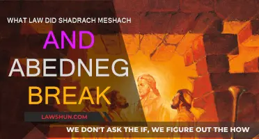 Shadrach, Meshach, and Abednego: Breaking the King's Law