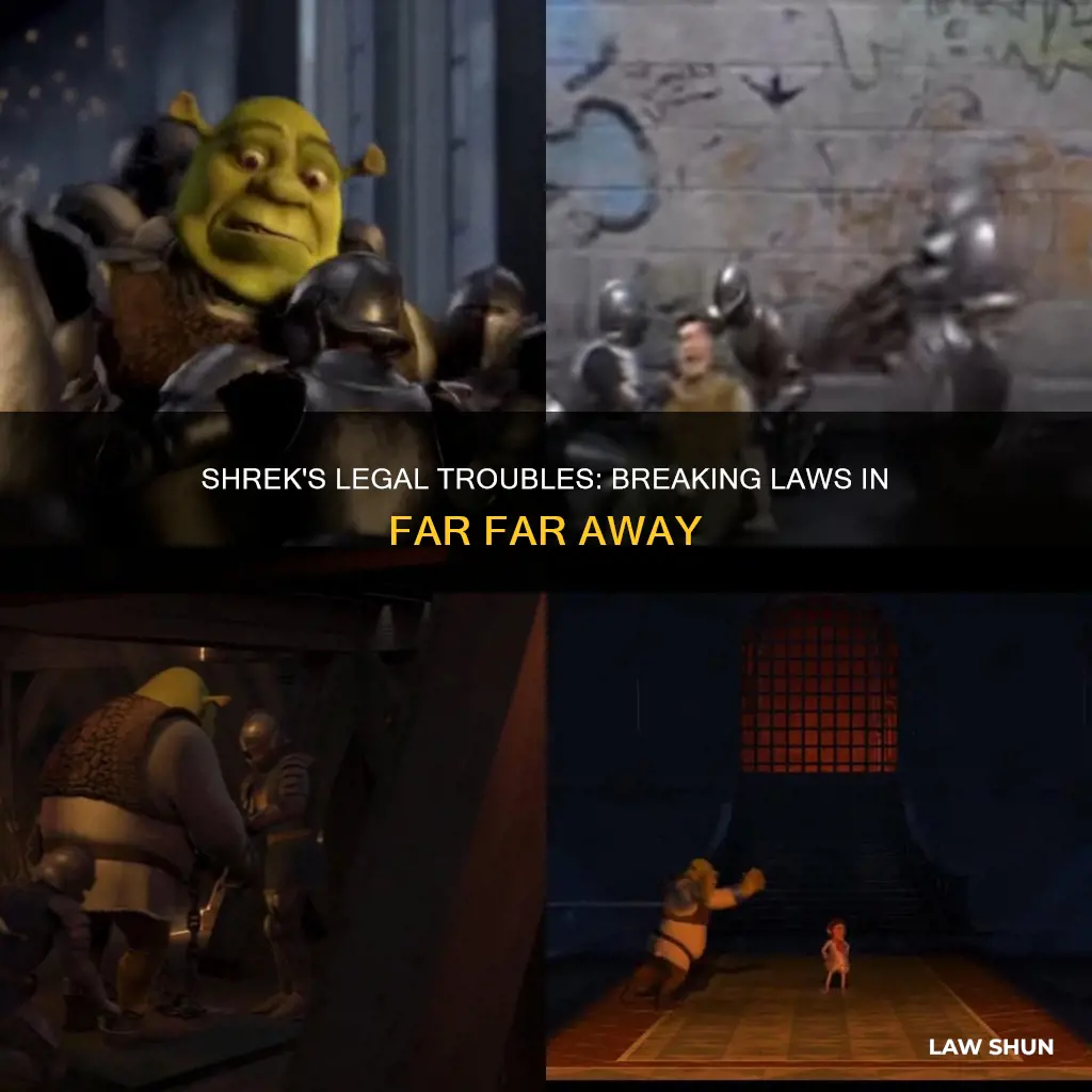 what law did shrek break