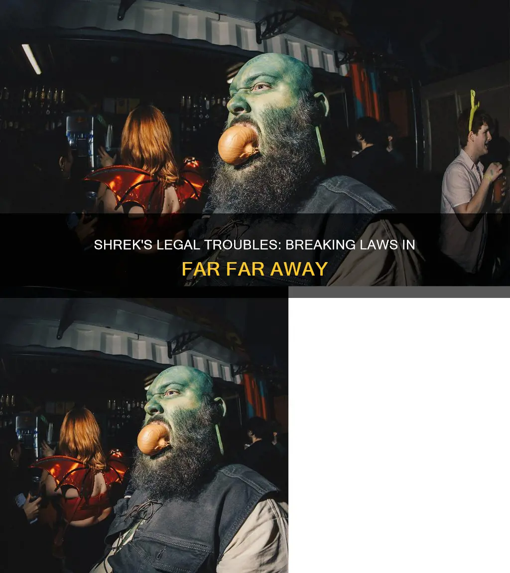 what law did shrek break