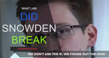 Snowden's Actions: What Laws Were Broken?