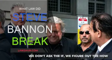 Steve Bannon: Legal Violations and Their Implications