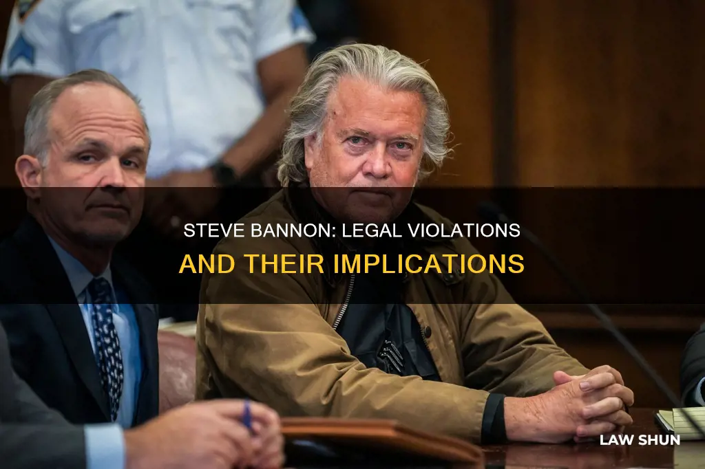 what law did steve bannon break