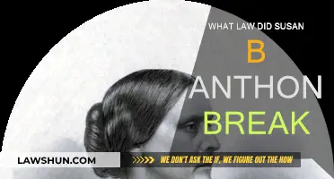 Susan B. Anthony's Defiant Stand: Breaking Law, Changing History