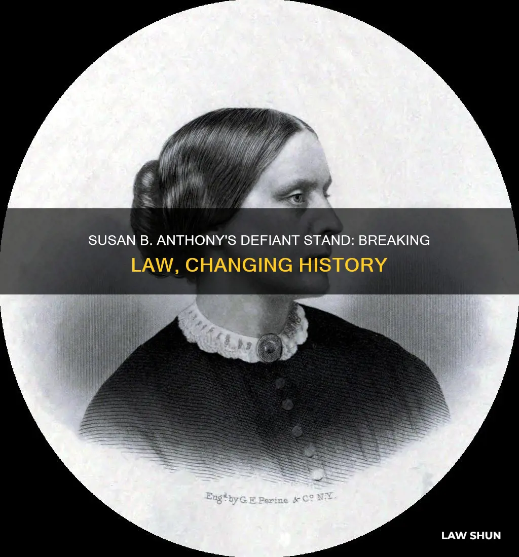 what law did susan b anthony break