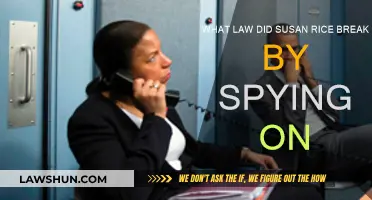 Susan Rice's Unlawful Spying: What Laws Were Broken?