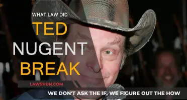 Ted Nugent's Legal Troubles: What Laws Did He Break?