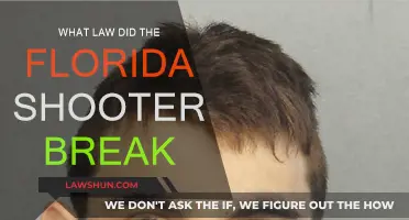 Florida Shooter: What Laws Were Broken?