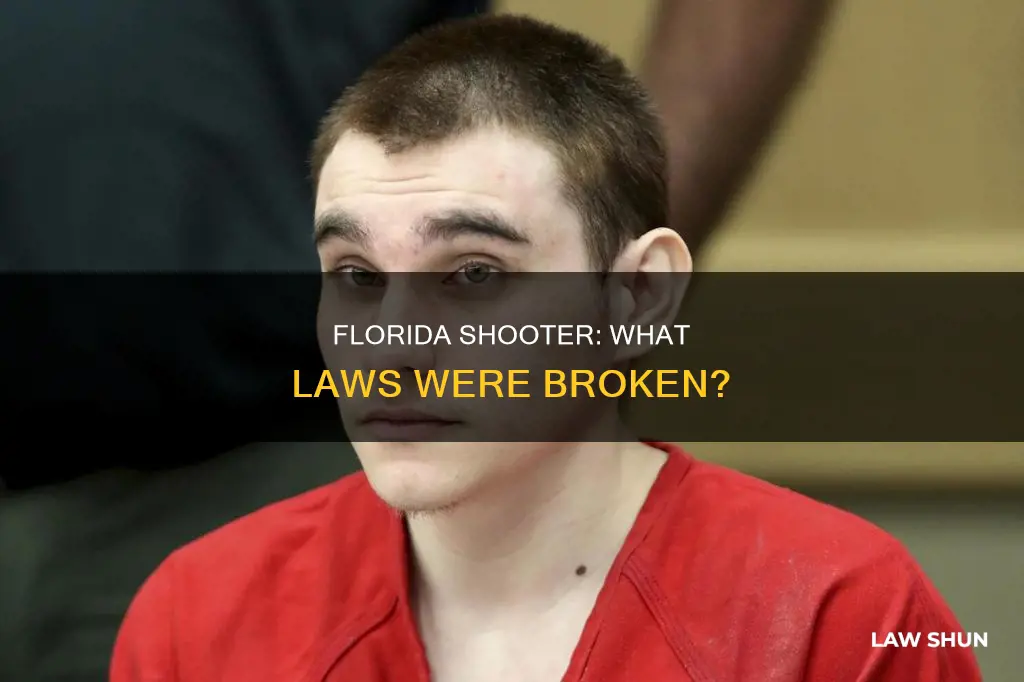 what law did the florida shooter break