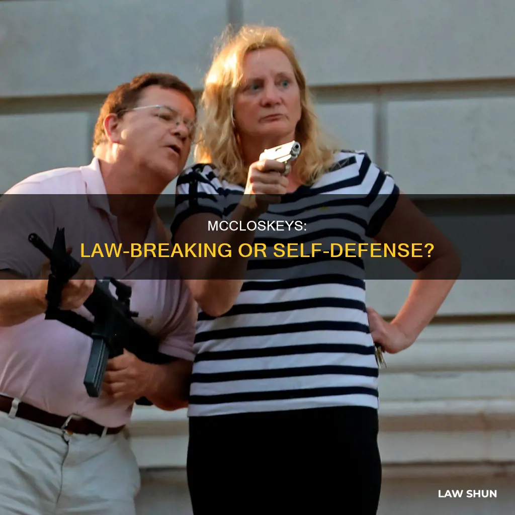what law did the mccloskeys break