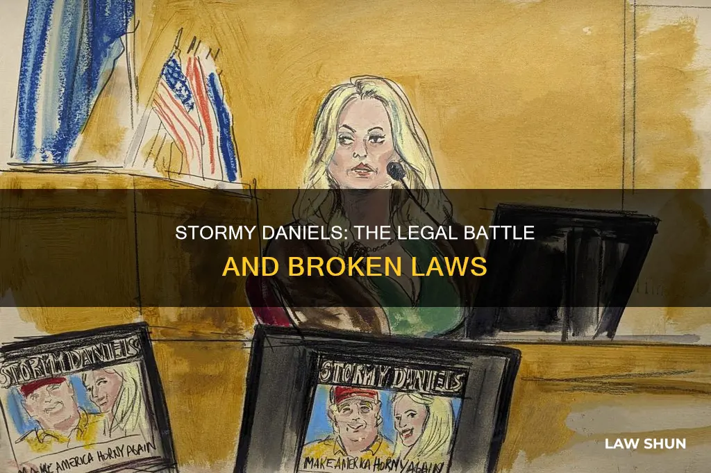 what law did the stormy daniels deal break