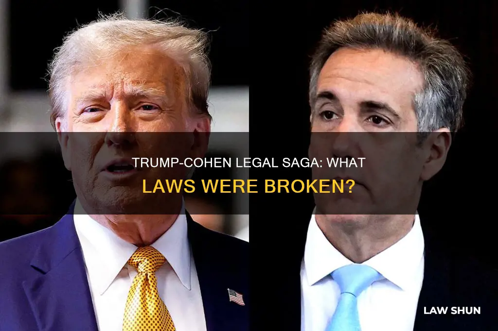 what law did trump and cohen break