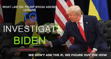 Trump's Ukraine Call: Legal or Impeachable Offense?