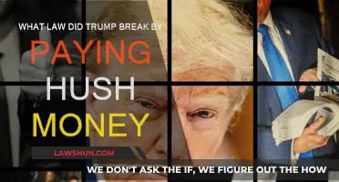 Trump's Hush Money: Legal or Illegal?