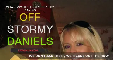 Trump's Stormy Daniels Scandal: Breaking Campaign Finance Laws?