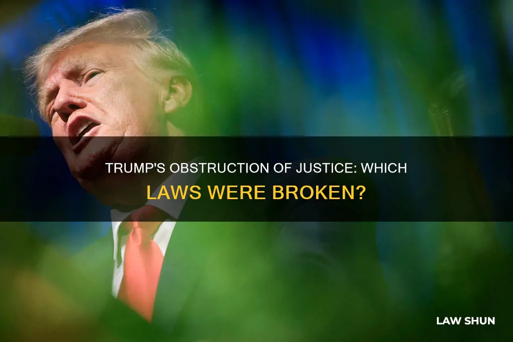 what law did trump break for obstruction of justice