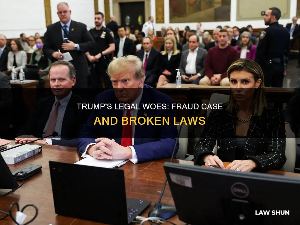 what law did trump break in fraud case