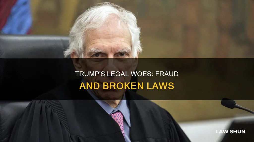 what law did trump break in fraud case