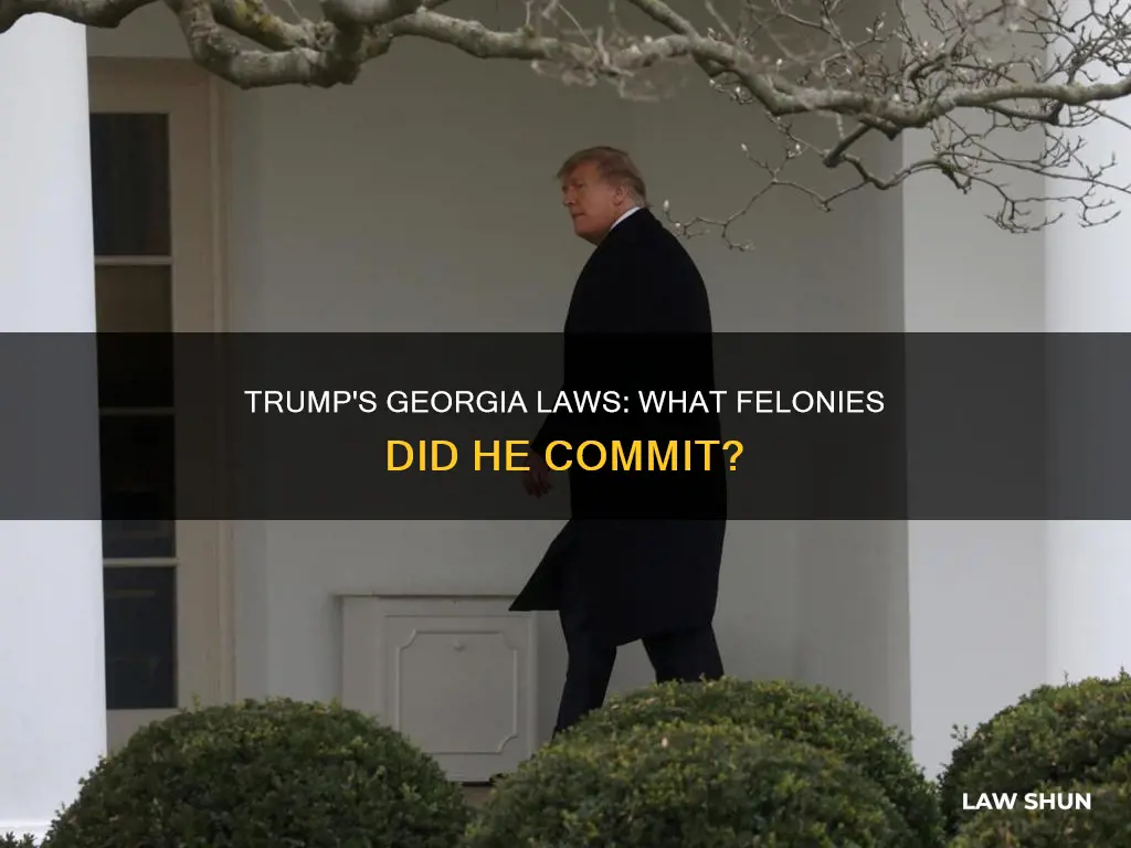 what law did trump break in georgia