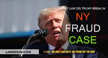 Trump's Legal Woes: New York Fraud Case Laws Broken