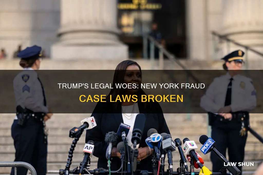 what law did trump break in ny fraud case