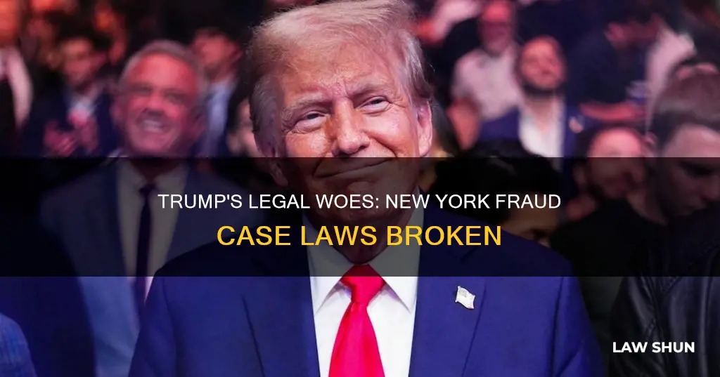 what law did trump break in ny fraud case