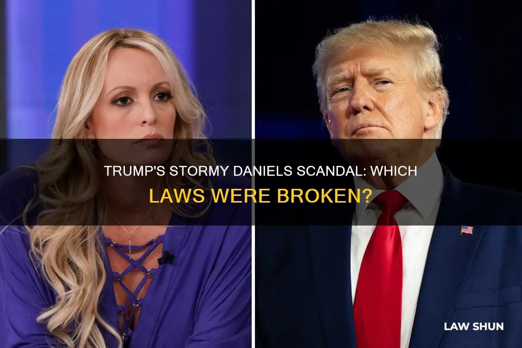 what law did trump break in stormy daniels case