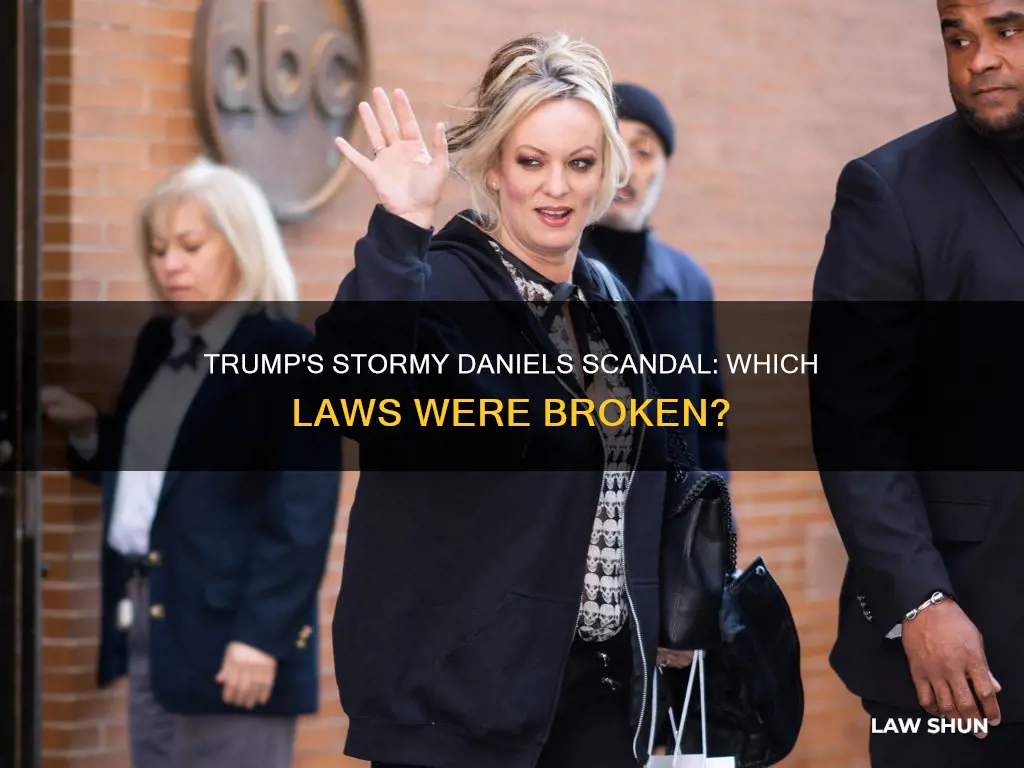 what law did trump break in stormy daniels case