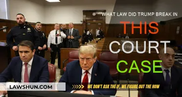 Trump's Legal Troubles: Which Laws Broken?