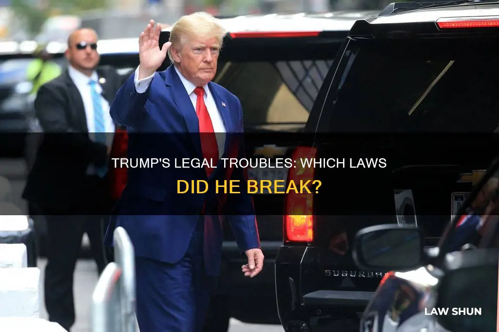 what law did trump break in this court case
