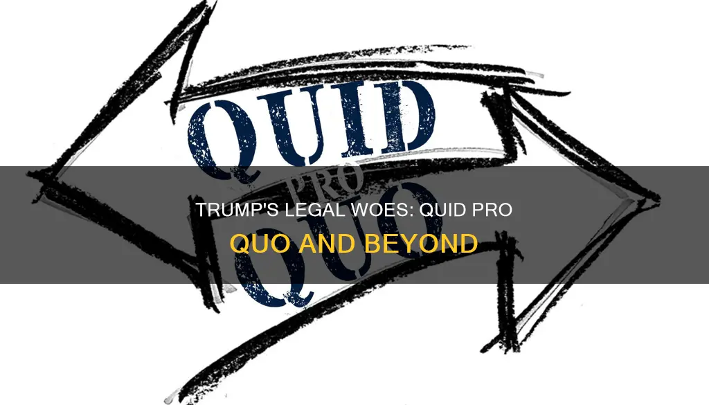 what law did trump break quid