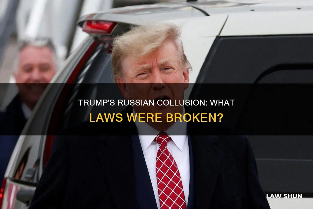 what law did trump break with russia