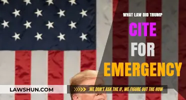 Trump's Emergency Declaration: The Legal Basis and National Emergency Act