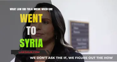 Tulsi Gabbard's Syrian Adventure: Unraveling the Legal Mystery