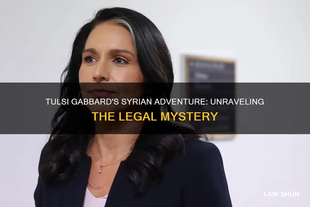 what law did tulsi break when she went to syria