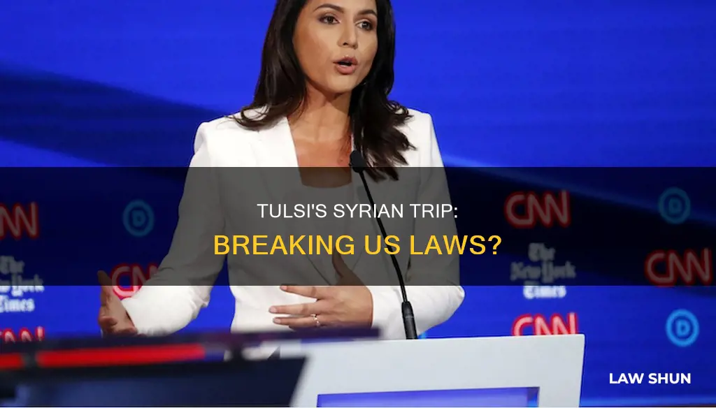 what law did tulsi break when she went to syria