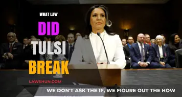 Tulsi's Legal Misstep: Unraveling the Mystery of the Broken Law