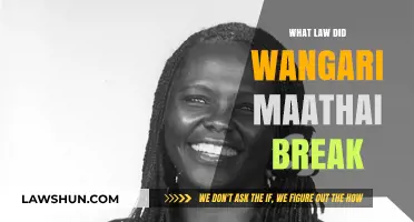 Wangari Maathai's Legacy: Uncovering the Law She Challenged