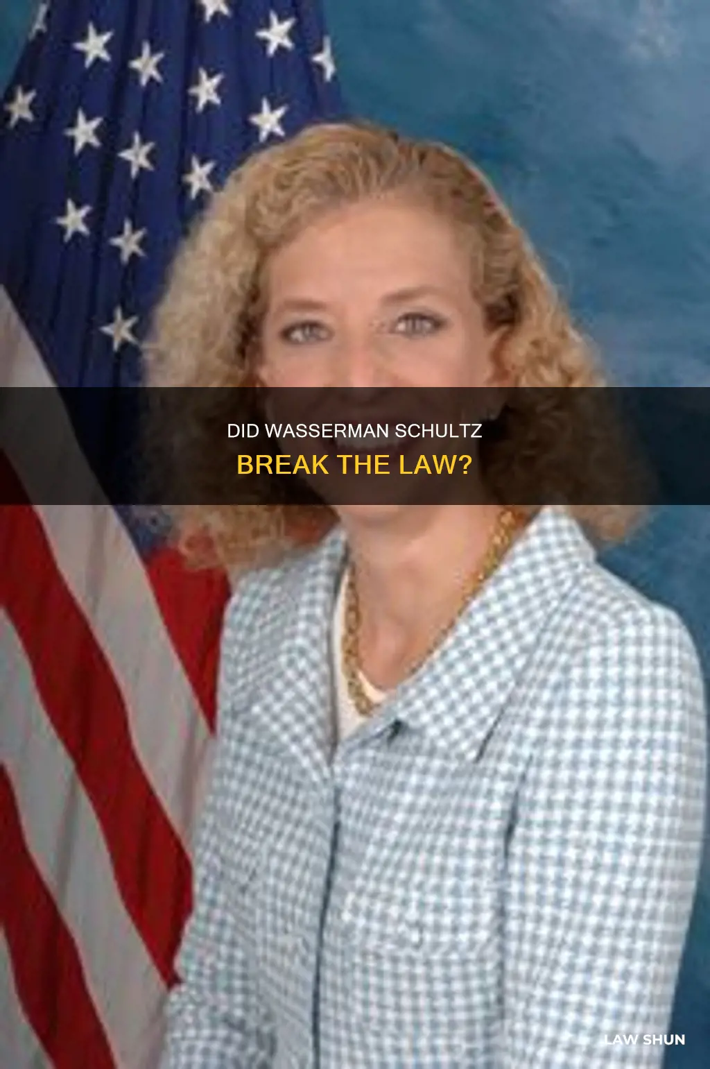what law did wasserman schultz break
