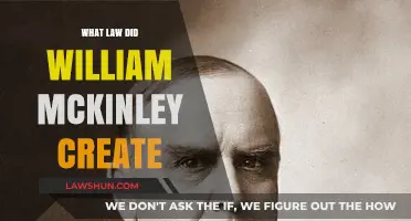 William McKinley's Legal Legacy: The Law He Enacted