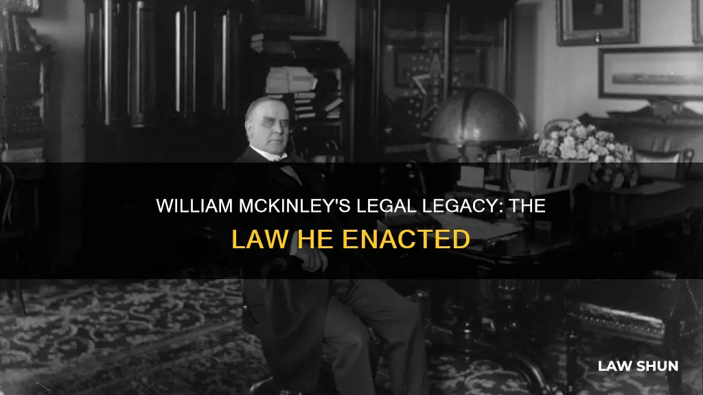 what law did william mckinley create