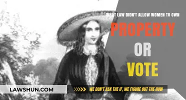 Historical Laws Restricting Women's Property Ownership and Voting Rights